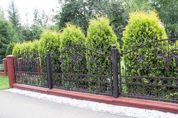 bramy i ogrodzenia kute